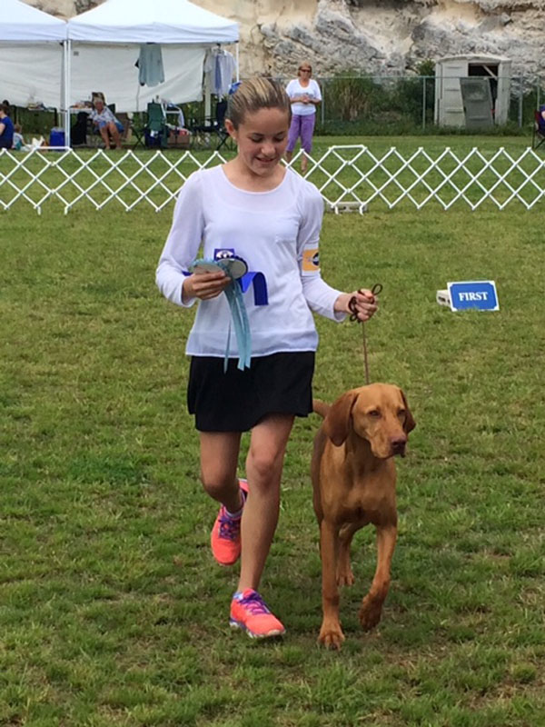 Vizsla