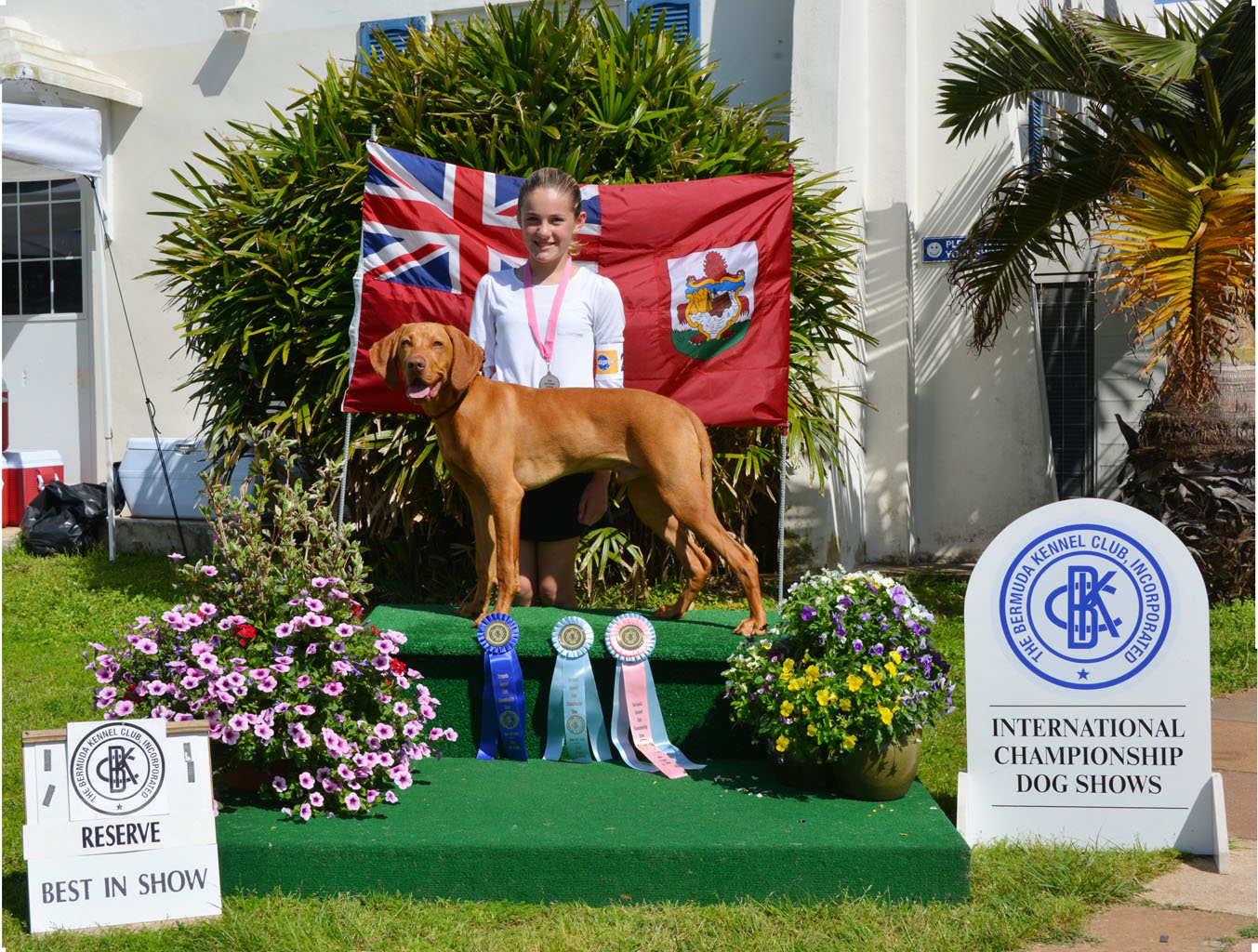 Pano__